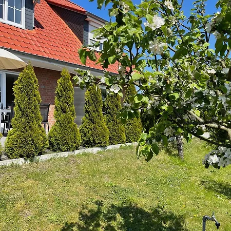 Am Darss Pruchten